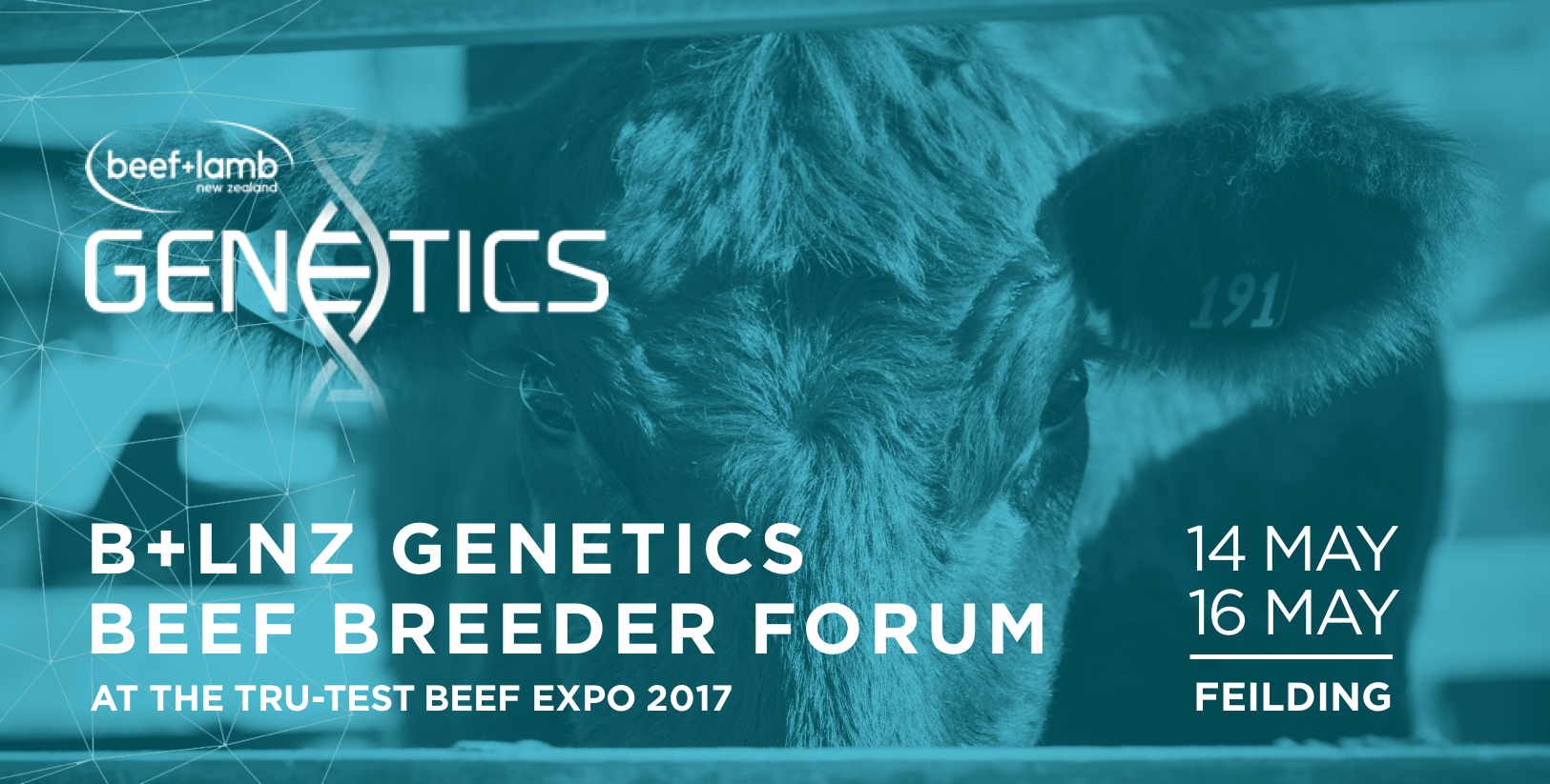 B+LNZ Genetics Beef Breeder Forum 2017