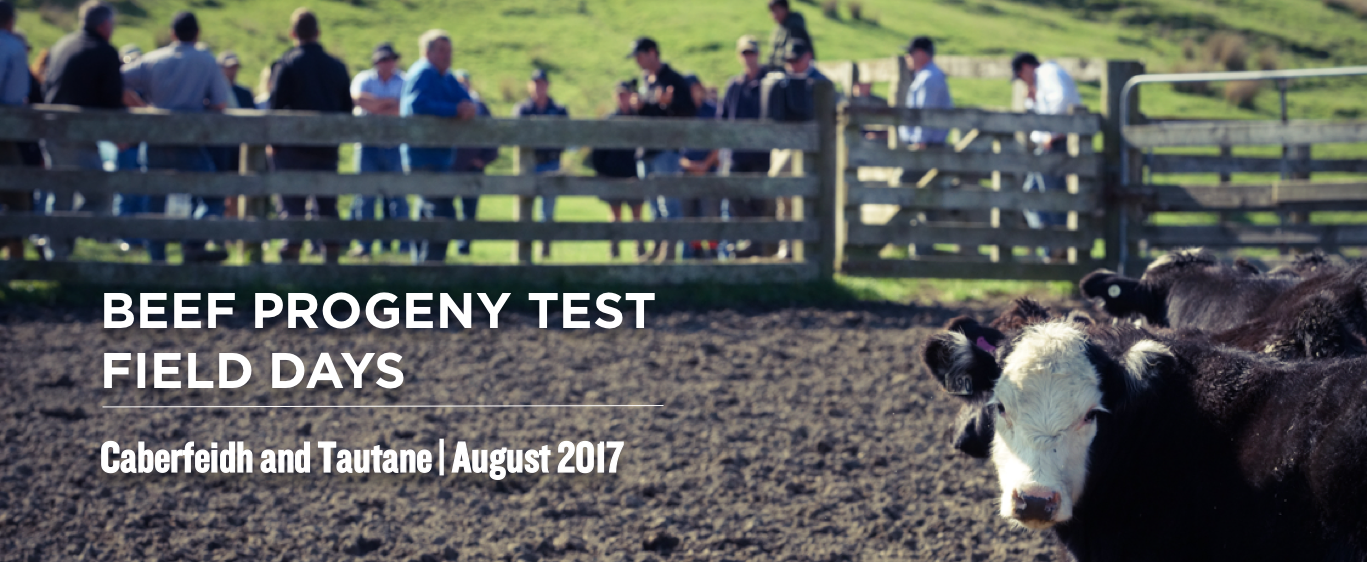Beef Progeny Test Field Days