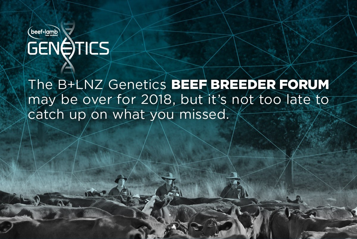 Beef Breeder Forum 2018 