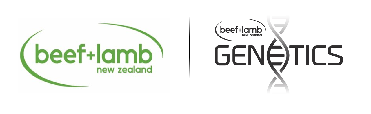 New B+LNZ Genetics General Manager appointed 