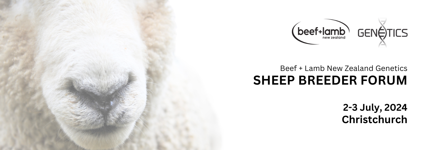 Sheep Breeder Forum 2024